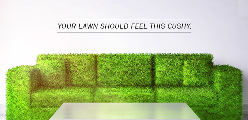 A lush, deep-green lawn cared for by City of Trees Lawn Care