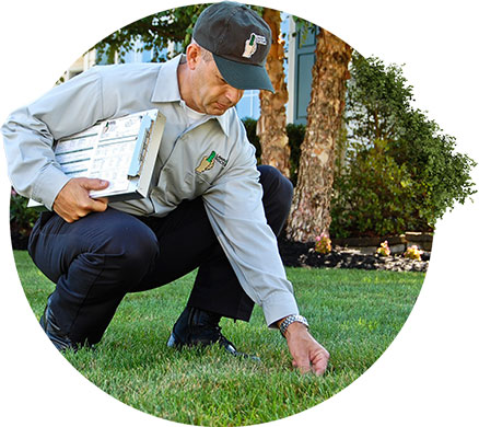 Technician applying a precision lawn treatment